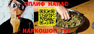 стаф Бердск