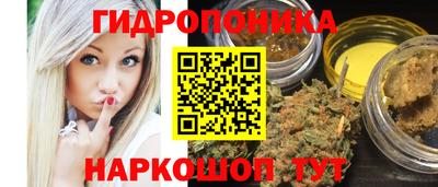 стаф Бердск