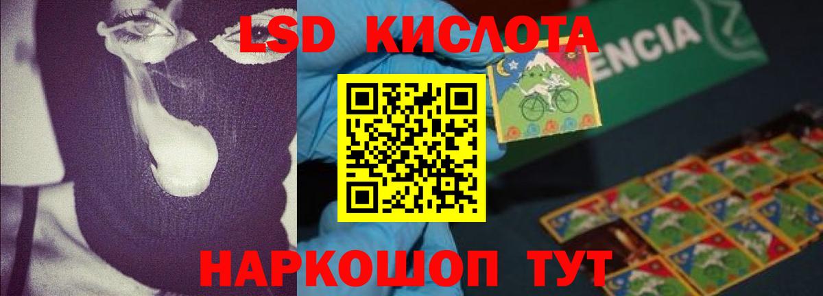 Псилоцибиновые грибы Алексеевка