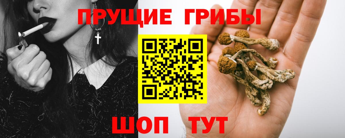 Псилоцибиновые грибы прущие грибы Алексеевка